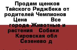 Продам щенков Тайского Риджбека от родителей Чемпионов › Цена ­ 30 000 - Все города Животные и растения » Собаки   . Кировская обл.,Сезенево д.